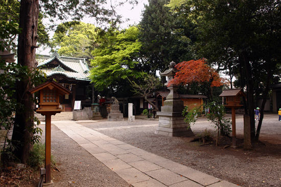 ��X�ؔ����_��