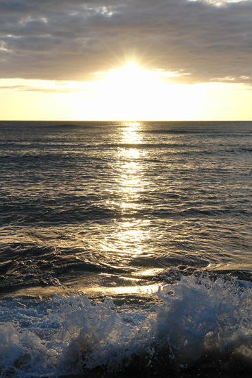 �m�[�X�E�V���A North Shore