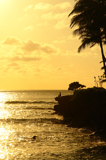 �m�[�X�E�V���A North Shore